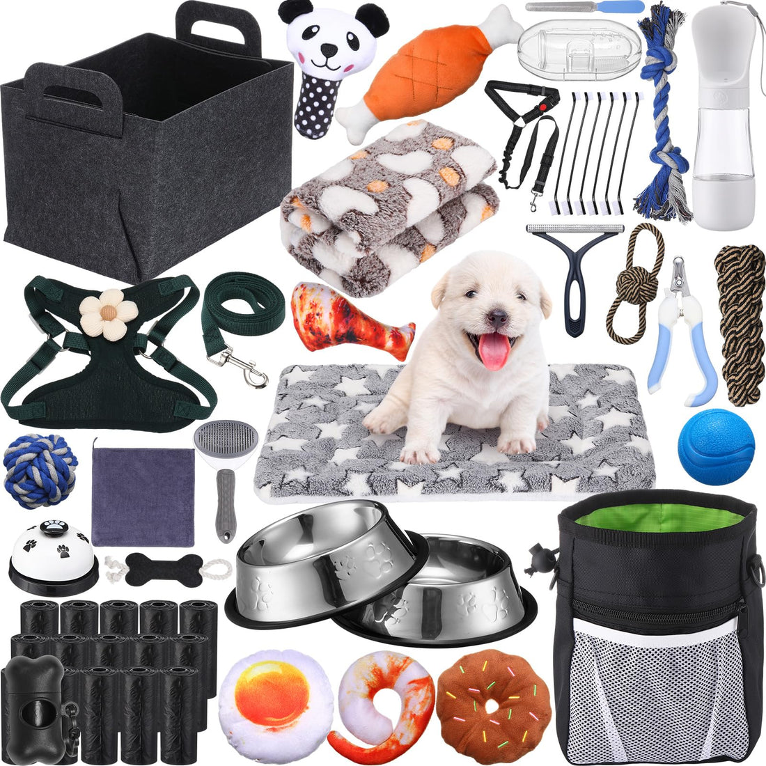 A Beginner’s Guide to Pet Supplies: Everything You Need to Get Started