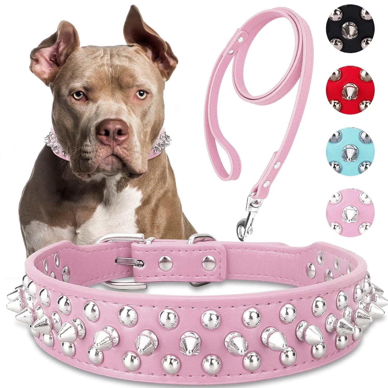 Collars And Leashes