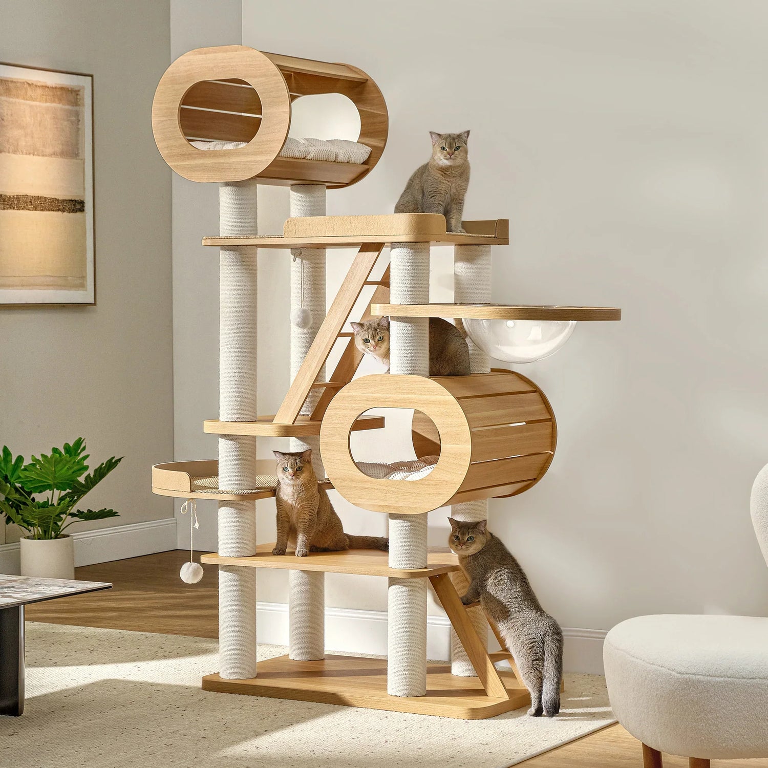 Cat Towers