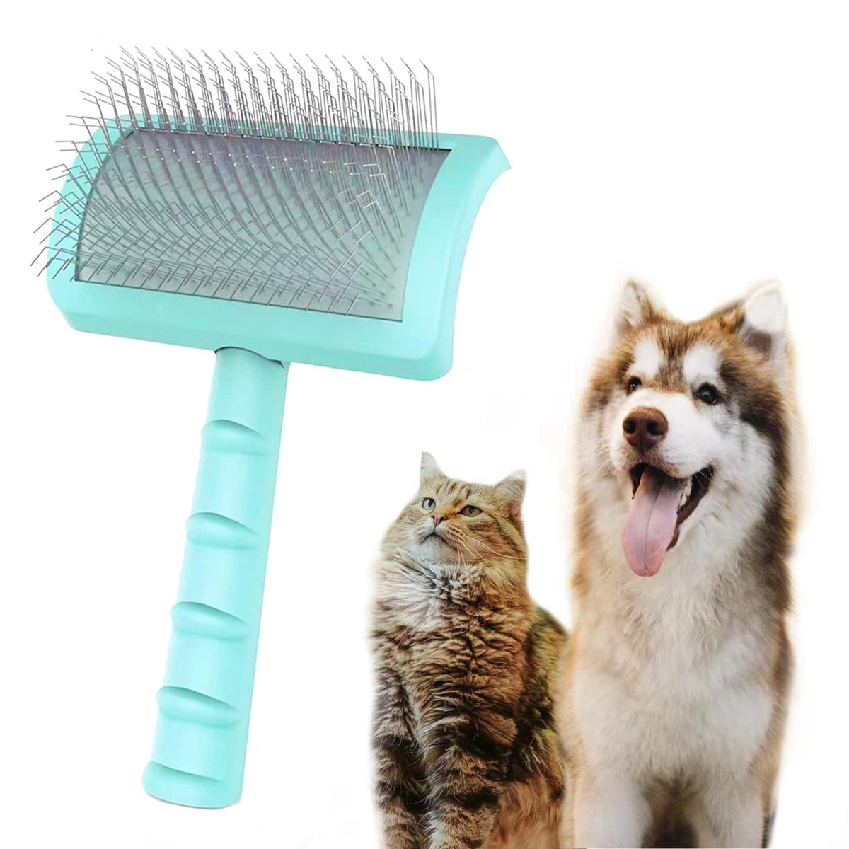 Pet Brushes