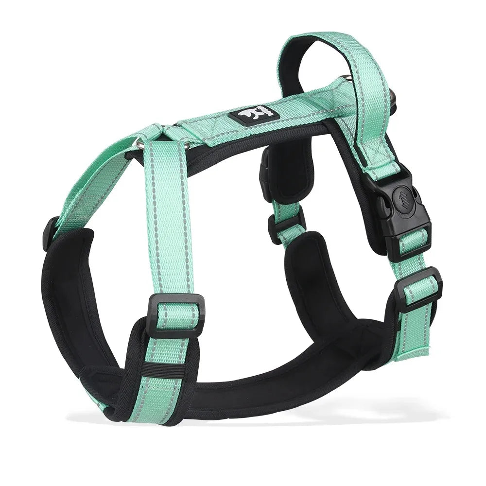 Harnesses and Wears Necklaces Harness With Dog Leash Classic Medium Small Dogs Pet Accessories Chest Puppy Collar Big Accessory