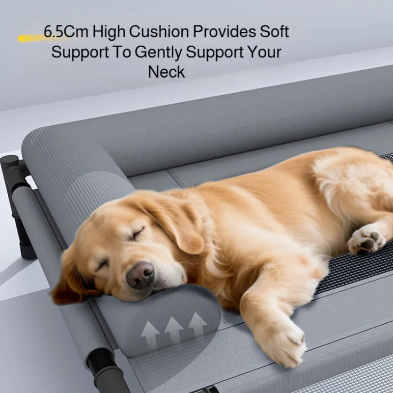 Raised Mesh Medium Large Cat Dog Off-the-ground Pet Bed Removable and Washable Breathable Pet Sofa Moisture-proof with Pillow