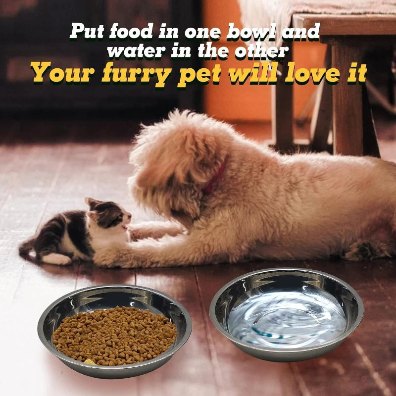 2/6pcs Slip Resistant Stainless Steel Cat Bowl – Low-Profile Wide Design for Kittens Small Pets Anti-Tip Base Feeding Station